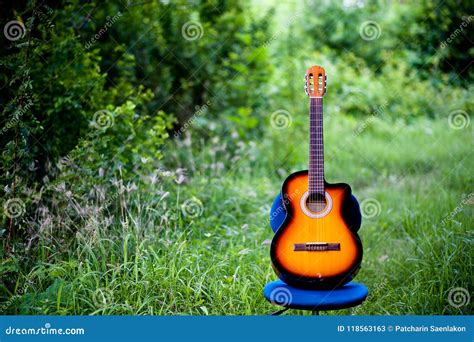 Guitar And Nature Good Atmosphere Stock Image Image Of Hand Guitar