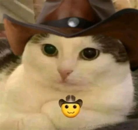 Gato Vaquero Meme Subido Por UnRandomPL Memedroid