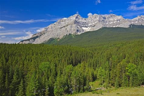 Cascade Mountain Banff National Park Alberta Canada Photo Information