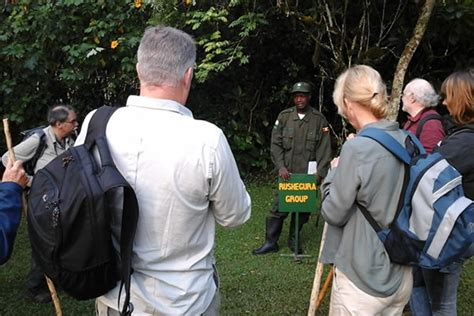 Gorilla Trekking Rules And Regulations Uganda Rwanda