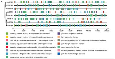 Plants Free Full Text Identification And Characterization Of The