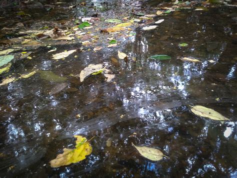 La Peligrosa Coexistencia De Un Relleno Sanitario Y Una Reserva Natural