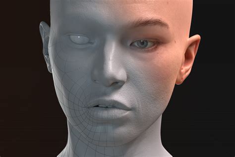 Learning To Sculpt Faces Tutorials Tips And Tricks Blender Artists