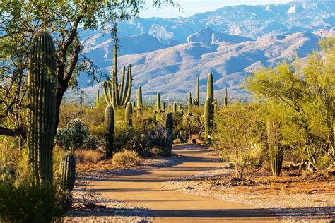 17 Most Beautiful Places To Visit In Arizona The Crazy Tourist