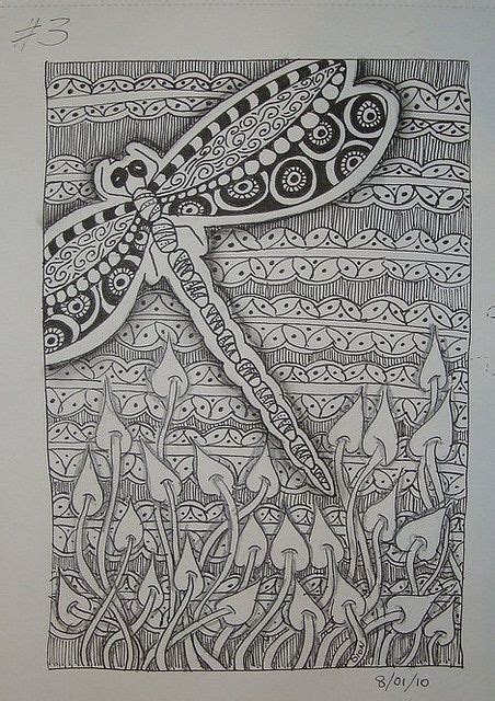 Dragonfly Zentangle Beautifuldoodles Art Doodles Dragonflies Art