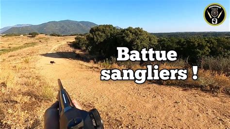 Chasse Sangliers Tirs De Sangliers Youtube