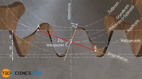 Zahnstange Tec Science