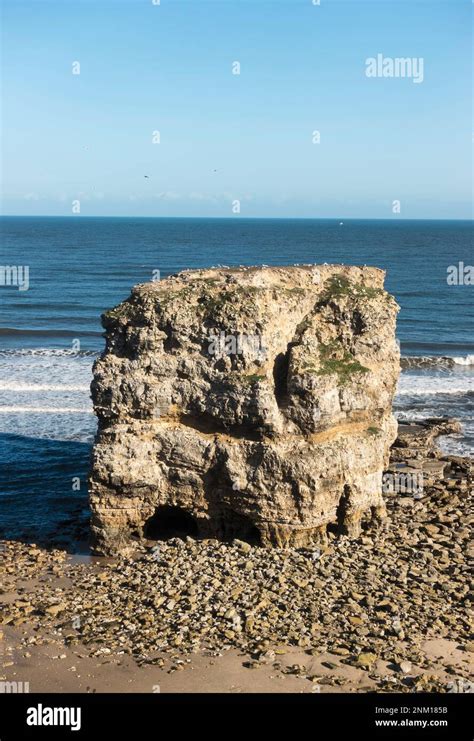 Marsden Rock A Magnesian Limestone Sea Stack Within Marsden Bay North