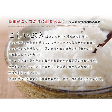 新米 こしいぶき 10kg お米 令和6年産 新潟産 5kg×2袋 送料無料 （北海道、九州、沖縄除く） Koshiibuki10