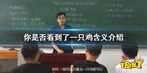 你是否看到了一只鸡是什么意思 你是否看到了一只鸡含义介绍