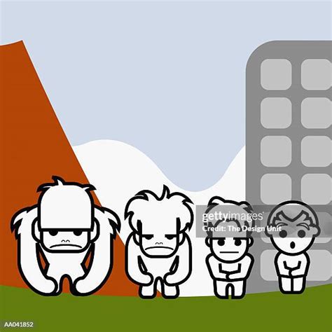 83 Evolution Stages From Ape To Human Stock Photos, High-Res Pictures ...