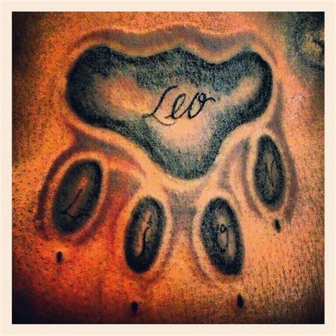 Leo Lions paw... | Paw, Paw print, Paw print tattoo