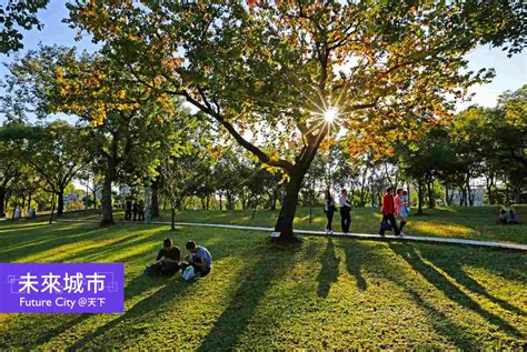 大安森林公園以前長這樣！台北人：住了30年現在才知道 未來城市＠天下 進步城市的新想像