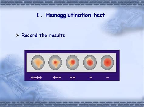 Experiment 1 Hemagglutination Test 2 Hemagglutination Inhibition Test