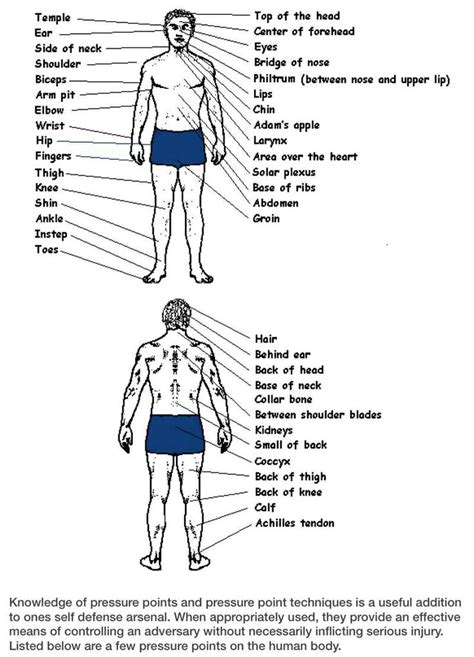 Pressure Points For Self Defense Diagram