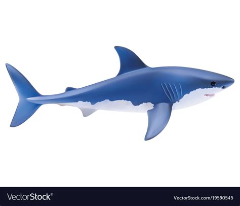 Shark isolated on white realistic 3d Royalty Free Vector