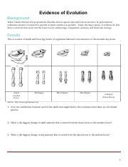 Evidence of Evolution Packet.docx - Evidence of Evolution Background ...