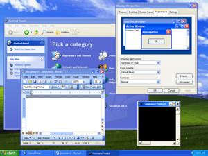 Windows XP themes | Microsoft Wiki | Fandom