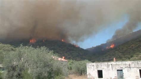 Incendi In Sardegna Disastro Senza Precedenti Elastic Media News