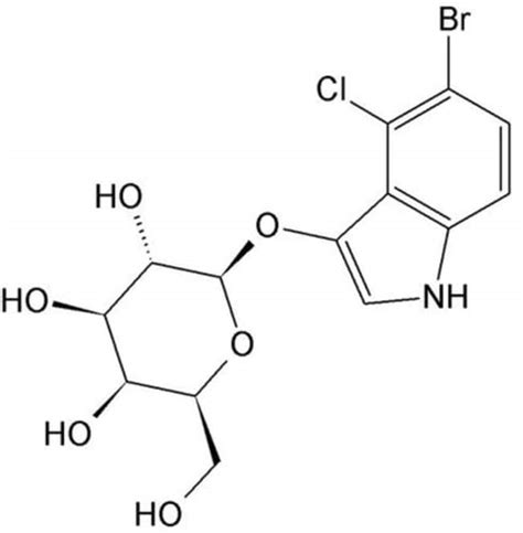 G Biosciences X GAL 5 BROMO 4 CHLORO 3 INDOXYL BETA D