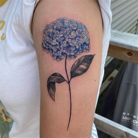 Hortensia Flower Tattoos Best Flower Site