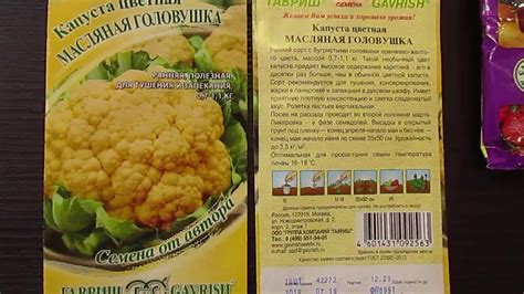 Цветная Капуста Дачница Описание Сорта Фото Отзывы – Telegraph
