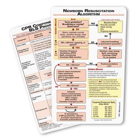 Nrp 7th Edition Algorithm Printable - Printable Word Searches