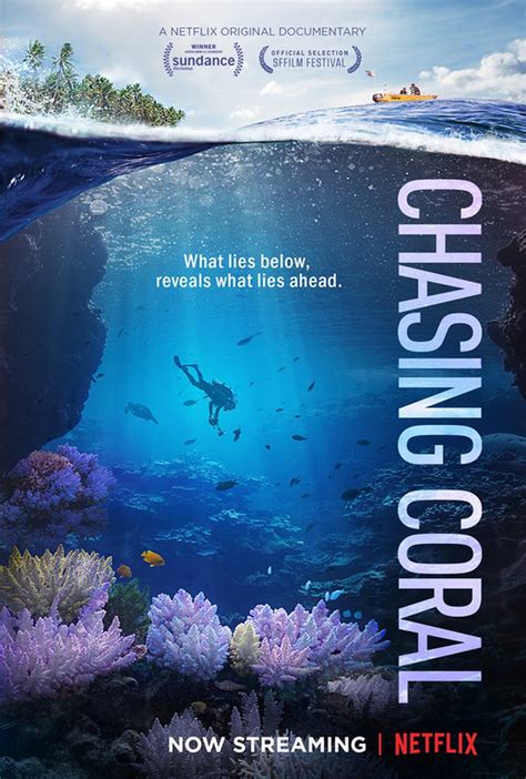 Chasing Coral Il Documentario Sui Coralli Che Ci Fa Sentire Coinvolti