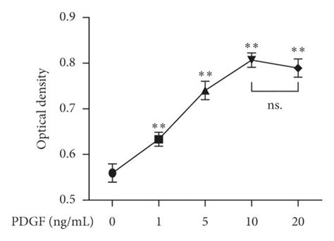 Kxrg Suppressed Proliferation Collagen Synthesis And Sma Expression