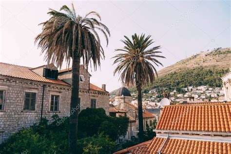 Catedral De La Asunci N De La Virgen Mar A En El Casco Antiguo De