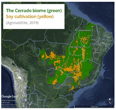 Five Largest Soybean Producing Countries An In Depth Look Developmentaid