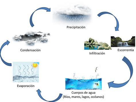 Proceso De Condensacion