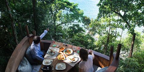 Yes, You Can Dine Treetop In Thailand | OceanDraw