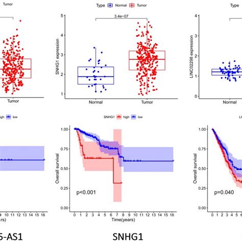 Expression Analysis And Survival Analysis For Upstream Lncrnas Of