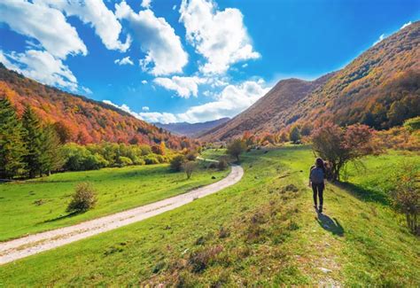 Parco Nazionale Dabruzzo Lazio E Molise Italiait