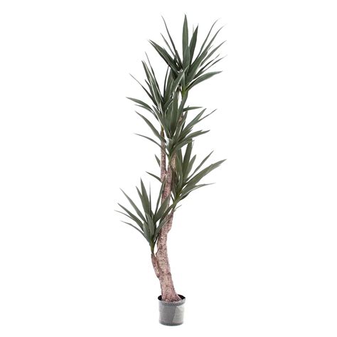 Sztuczna Wysoka Dracena Cm Hydroponika Pl