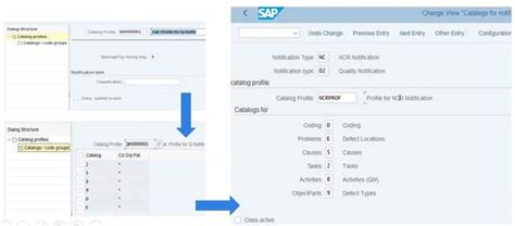 SAP QM Automatic Defect Recording ITPUB博客