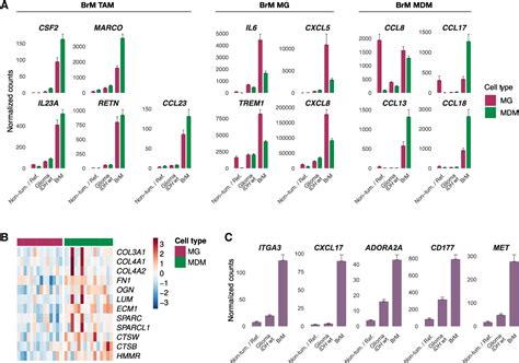 Figure From Interrogation Of The Microenvironmental Landscape In