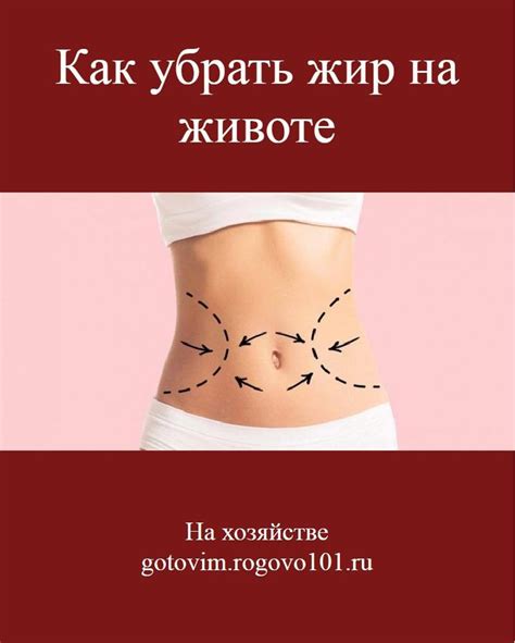 Полезные советы | Живот, Полезные советы, Жиры