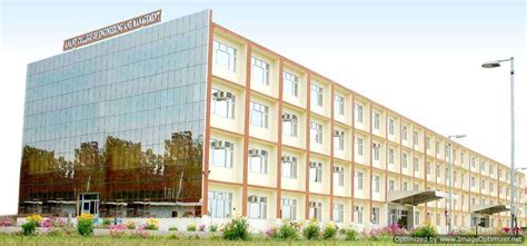 diploma  anand college  engineering management kapurthala