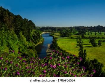 Mulchen Images Stock Photos Vectors Shutterstock