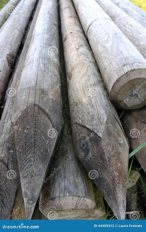 Wood Stick Sharp Stock Photo Image Of Metal Sticks 44409312