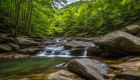 Beartown State Park: Explore West Virginia - Verdant Traveler