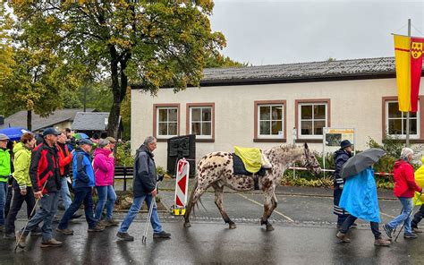 Wandern in der Eifel Oberkail Himmerod Schleife eröffnet