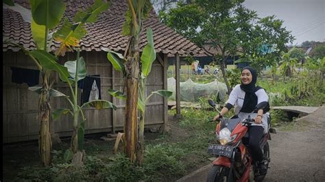 Tercandu Suasana Jadul Kampung Suku Jawa Yang Tentram Dan Damai