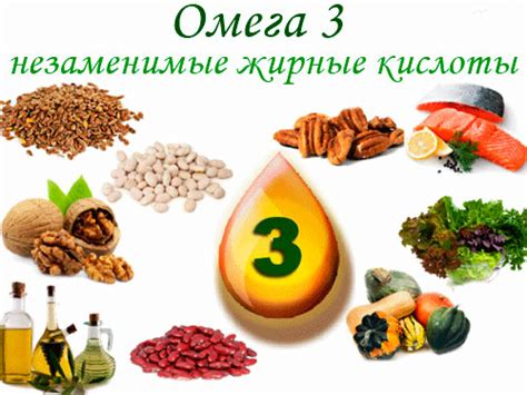 Омега 3-6-9 Жиры: В чем разница? Природные источники