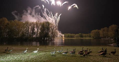 Rhein In Flammen Bonn G Nse Durch Feuerwerk Verst Rt Brut Gef Hrdet