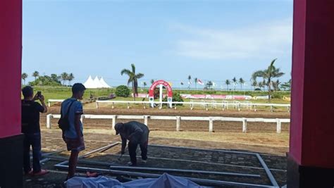 Persiapan Panitia Penyelenggara Kejuaraan Pacuan Kuda Bupati