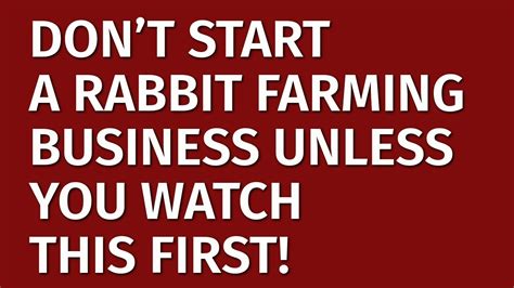 How To Start A Rabbit Farming Business In Free Rabbit Farming