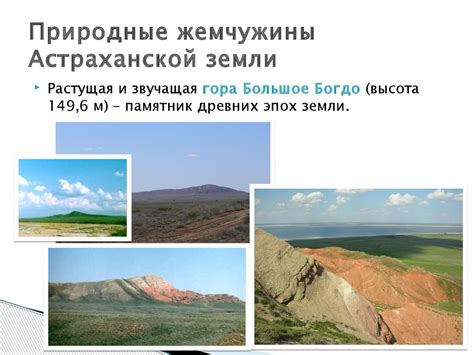 Природа Астраханского края - презентация онлайн